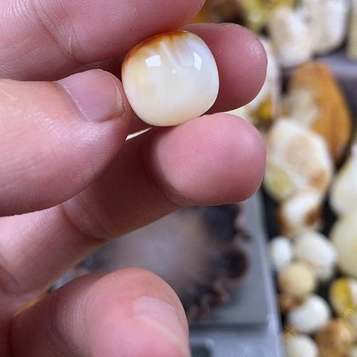 未镶嵌琥珀裸石我