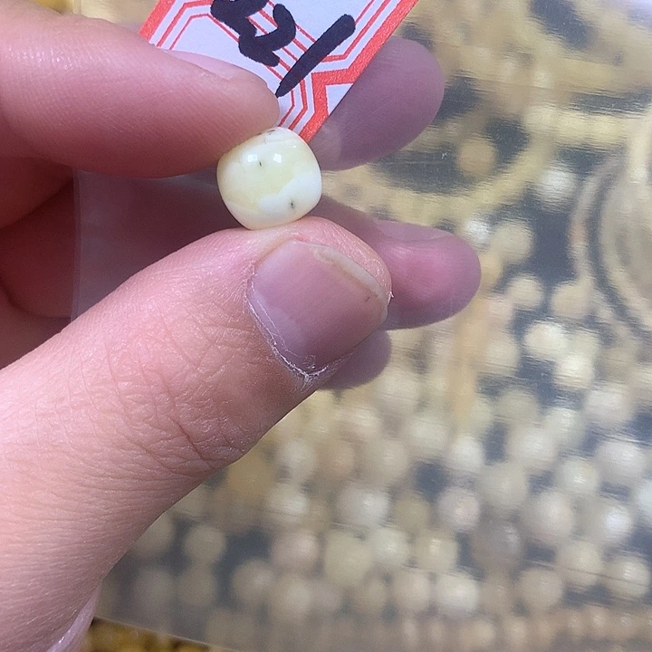 裸石琥珀未镶嵌11