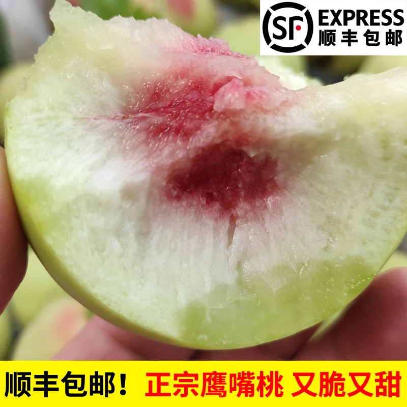 顺丰包邮 正宗湖北鹰嘴桃 脆桃又脆又甜桃子非连平鹰嘴桃现摘水果