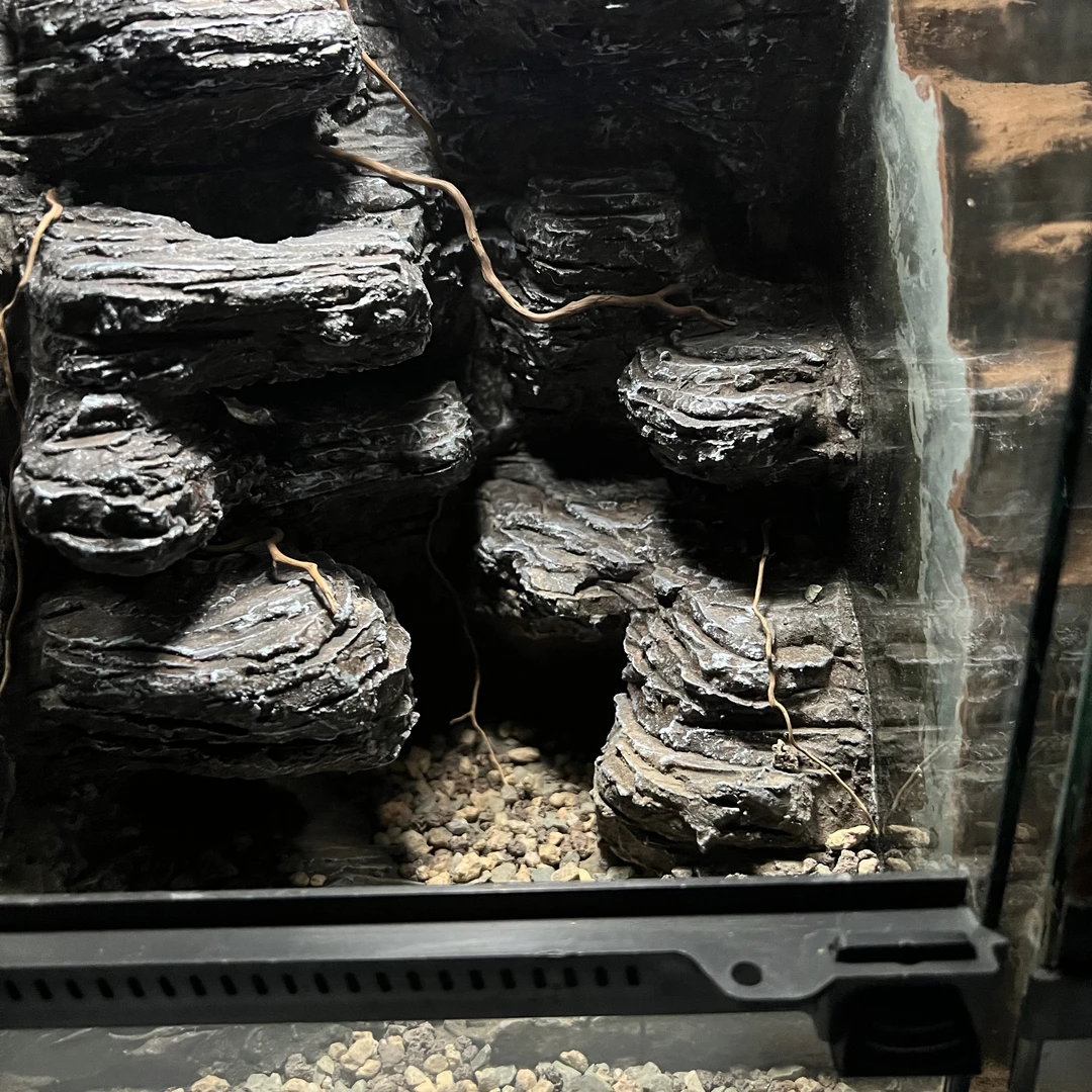 【砾岩蛛穴】爬宠造景缸睫角守宫树栖睫角饲养箱爬宠爬虫缸