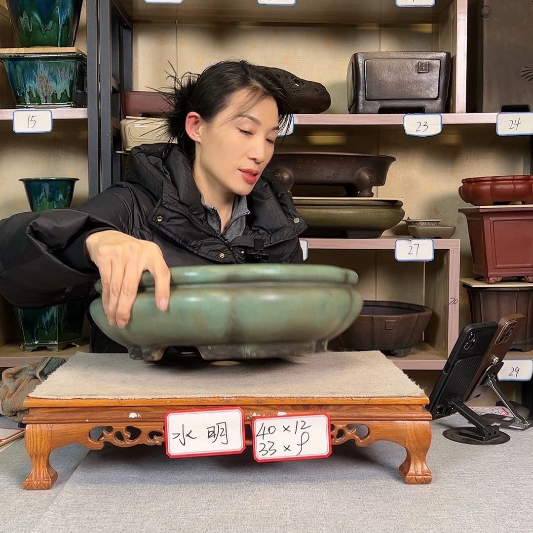 紫砂花盆毒*369289955896666999999