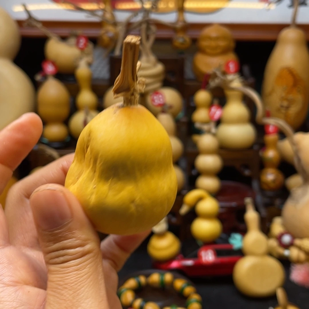 喝****e葫芦等经济作物和植物为食之