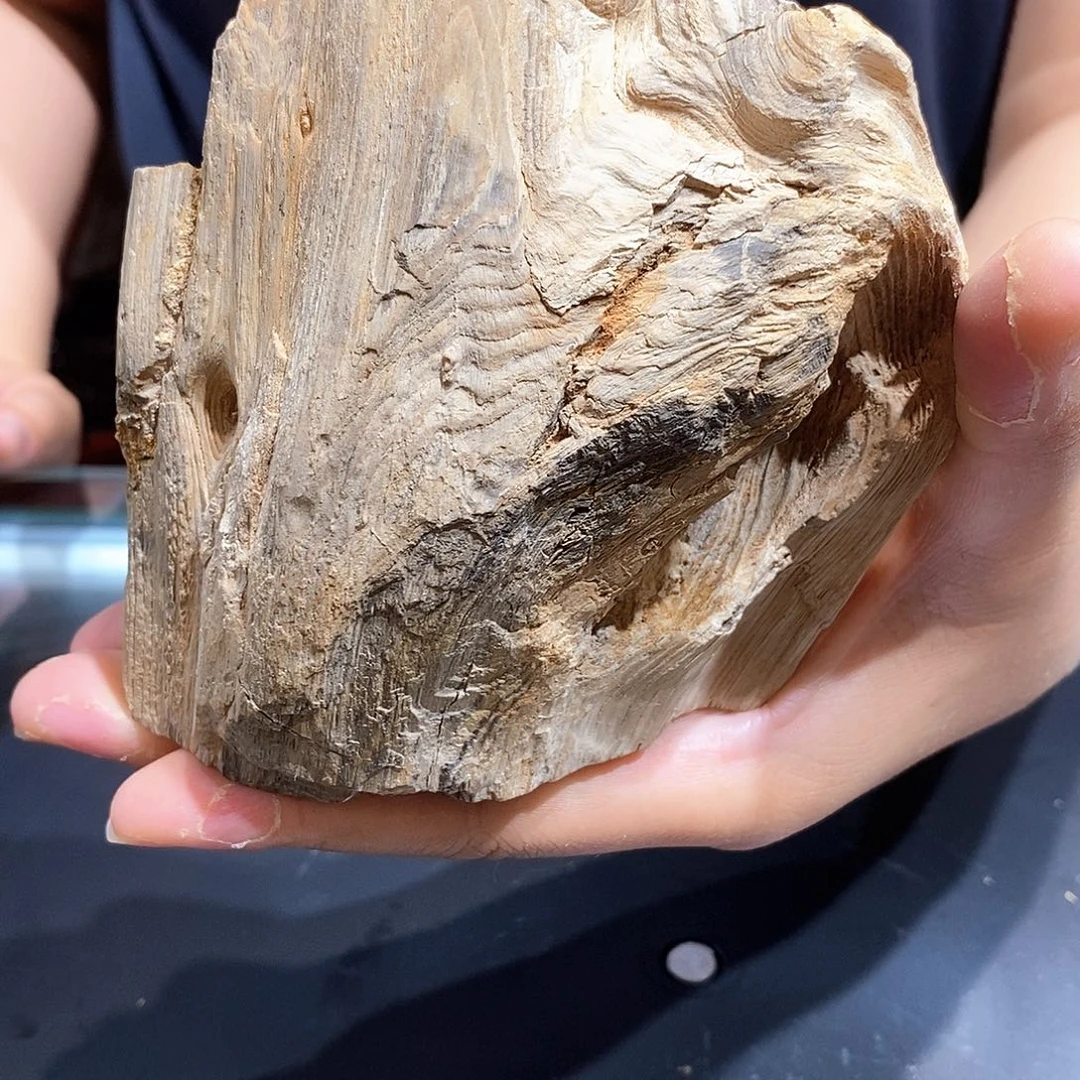 硅化玉天然北票硅化玉原石摆件未镶嵌