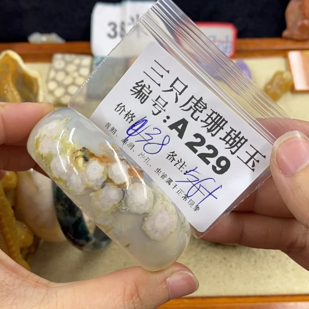 硅化珊瑚（珊瑚玉）1未镶嵌用****瑰