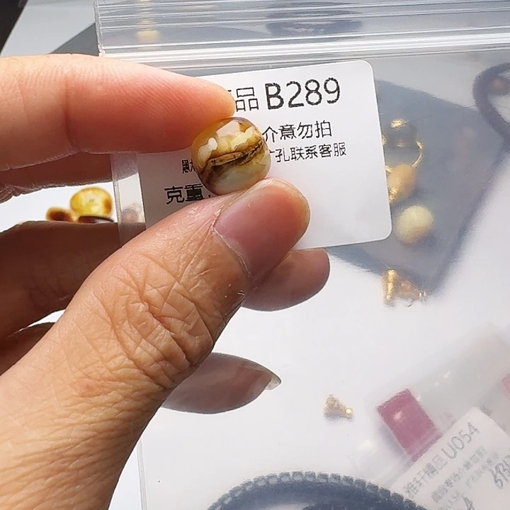 裸石琥珀未镶嵌琥珀