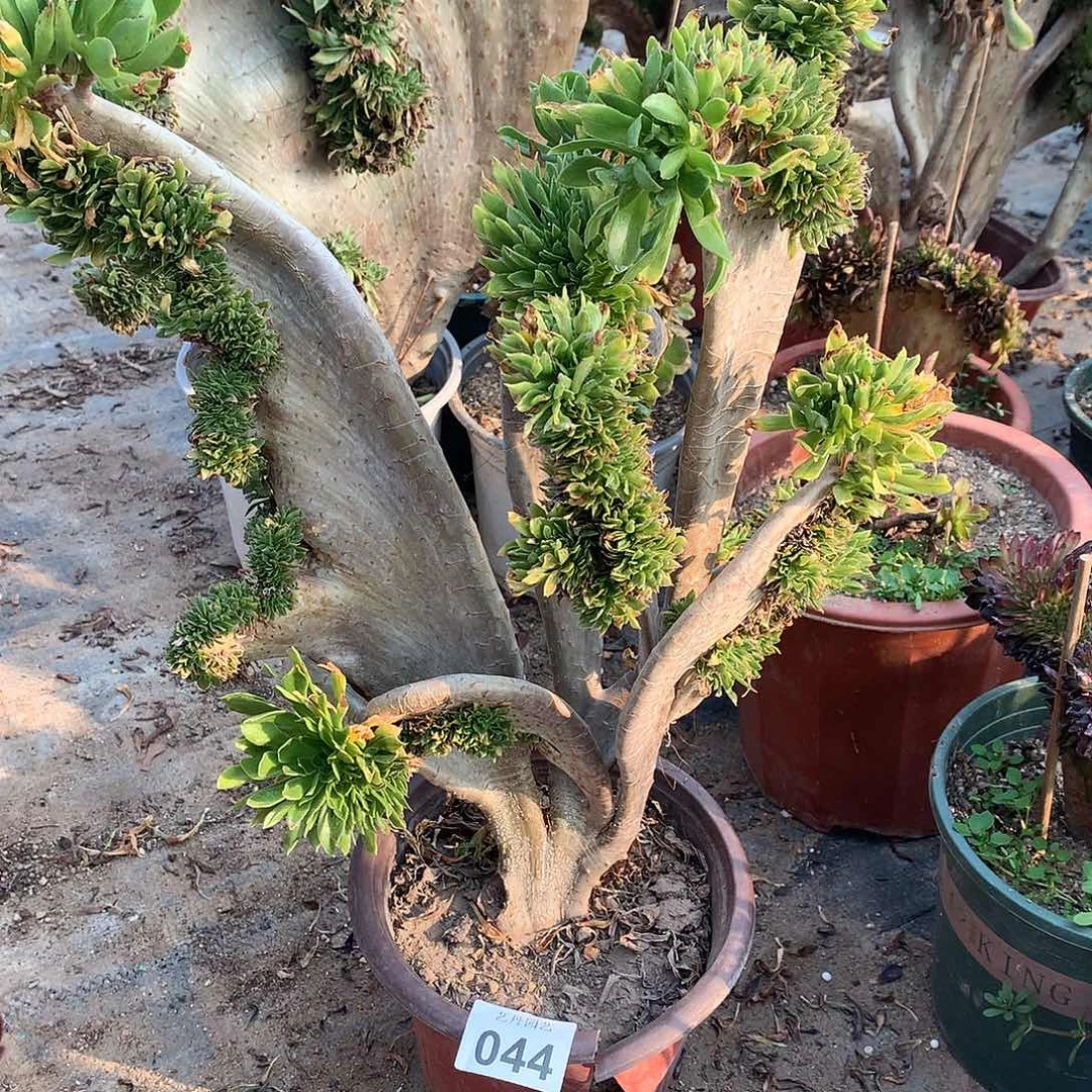 044原始绿缀化微瑕