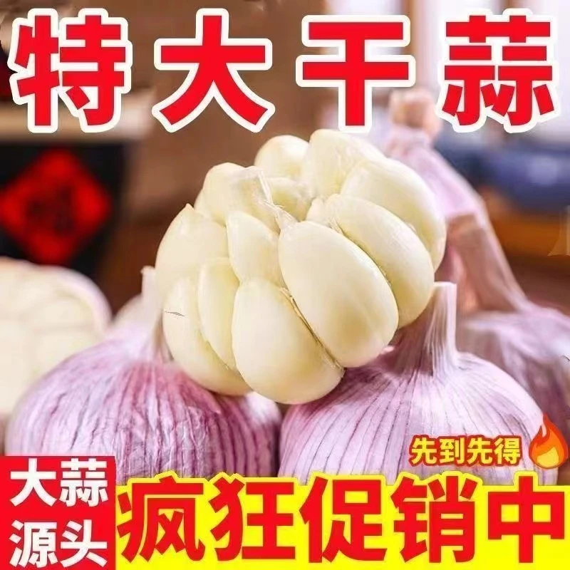 正宗紫皮大瓣蒜干蒜辛辣十足个大饱满WDJ