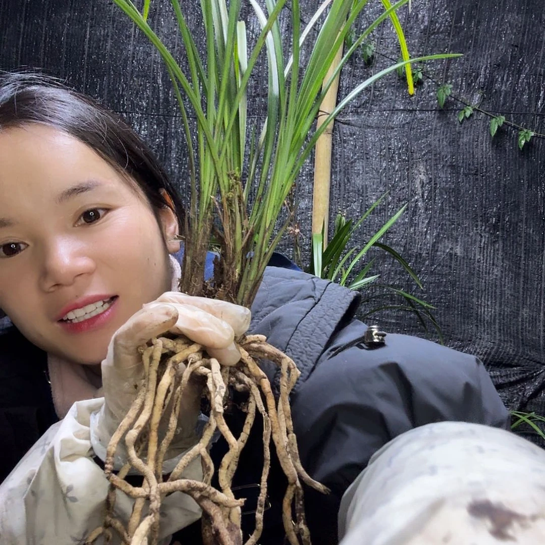 完全开放花花花花花花