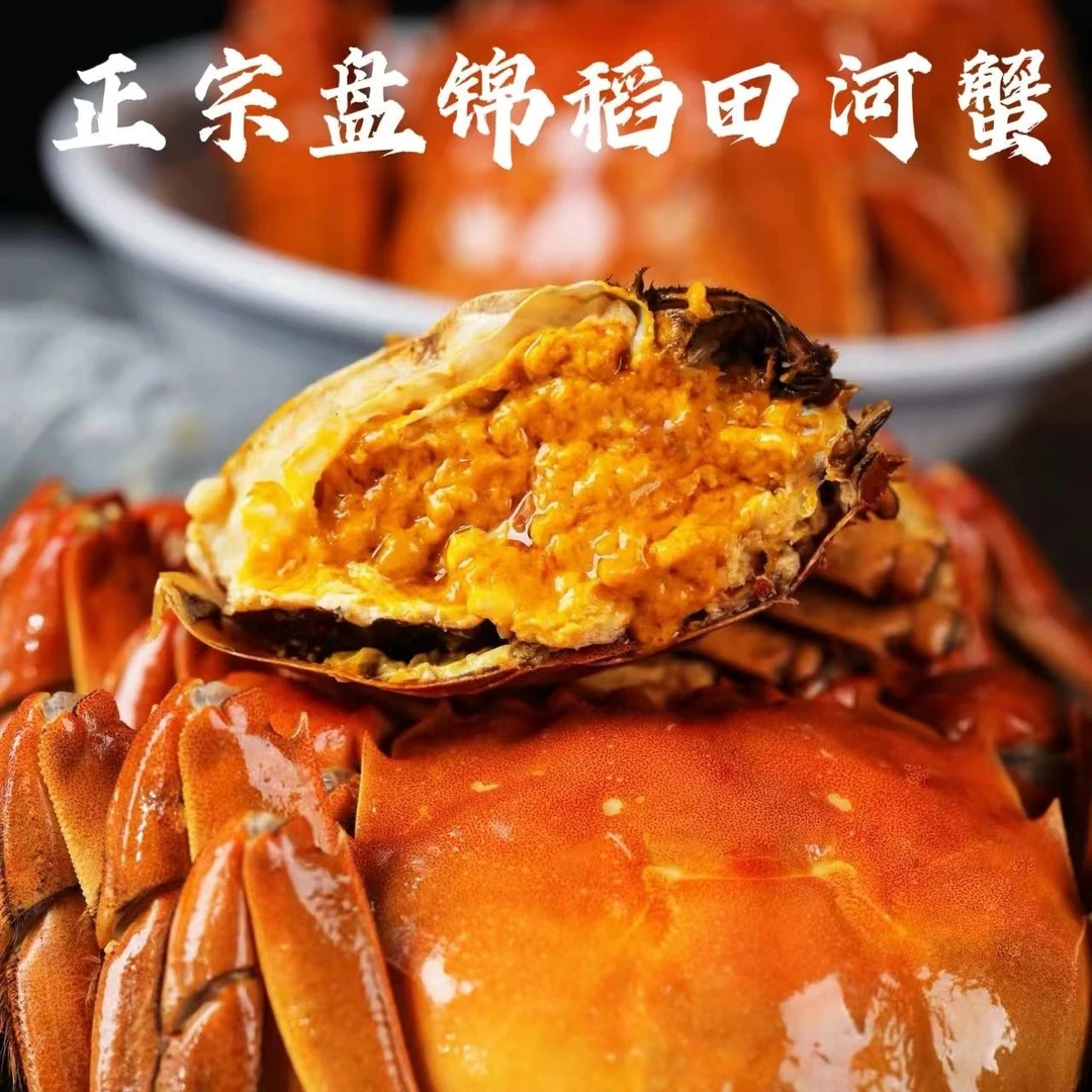 肥货【活蟹】盘锦稻田河蟹【母蟹】（1.3-1.0两/只）顺丰空运包邮(EG）