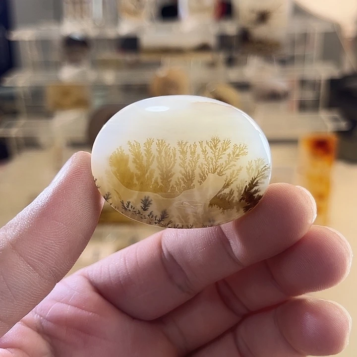 未镶嵌吊坠(不含链)玛瑙/玉髓