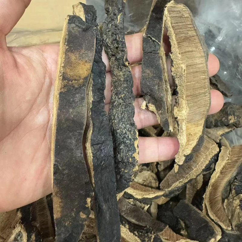 【益娜娜专属】野芝芝菇正宗不苦250g
