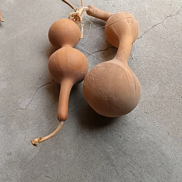 小*桃买一送一给我40元包邮