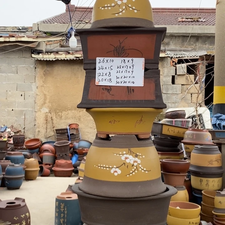 红陶这样我就可以去看