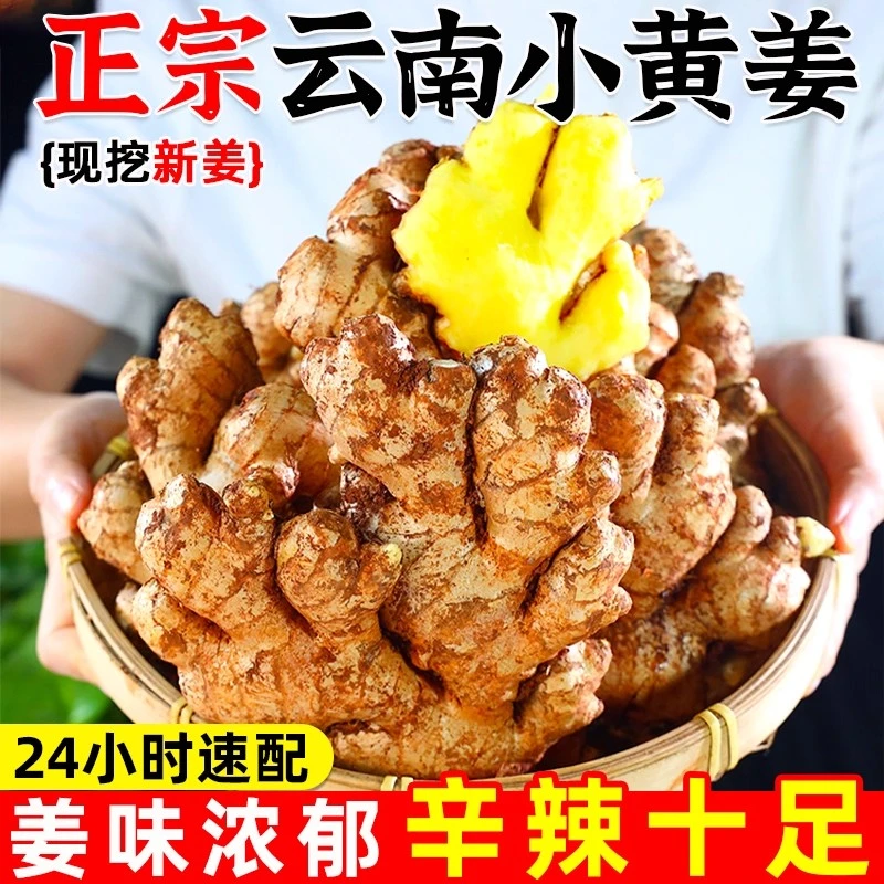 云南小黄姜9斤新鲜生姜老姜高山沙姜土姜非现挖月子孕妇种子蔬菜