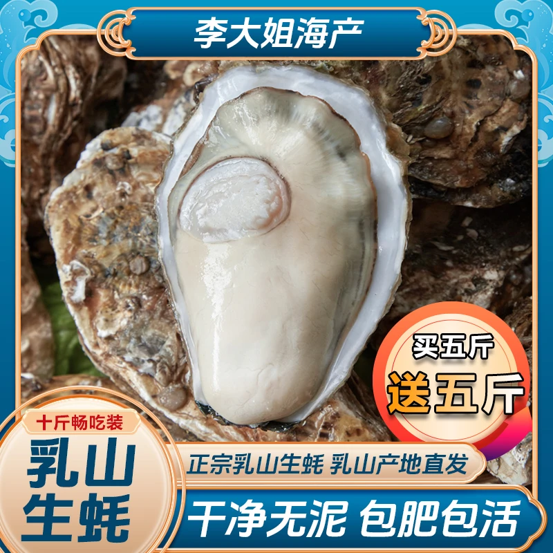【李大姐推荐】5斤送5斤 乳山生蚝牡蛎 源产地现捞直发 鲜活到家