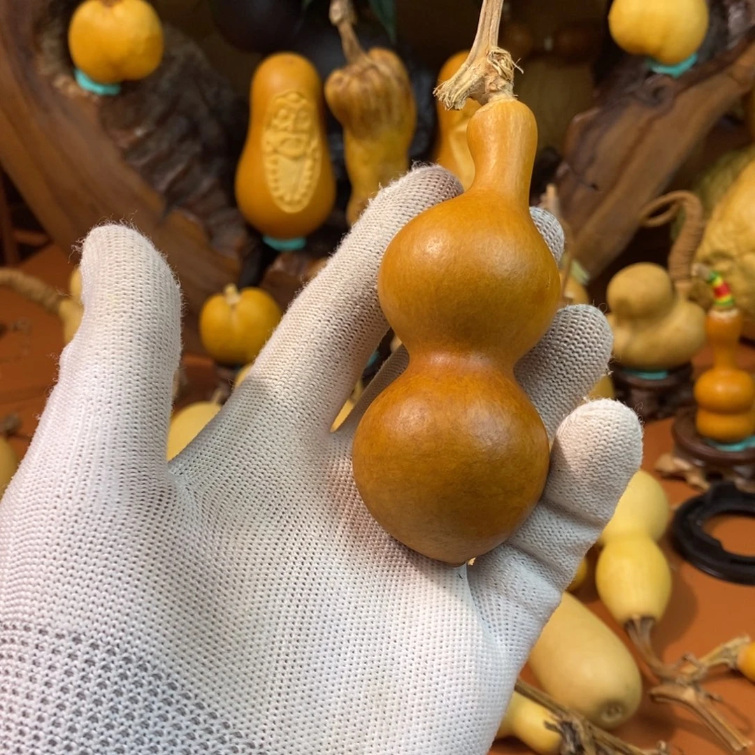 ネ***ω阿拉教练咯教练咯，教练