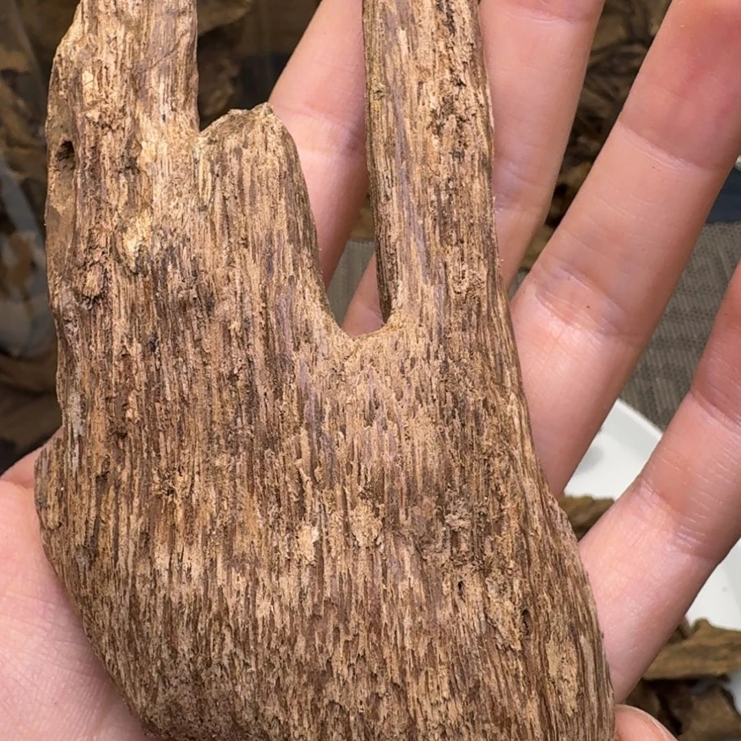 木海南文昌土埋虫漏11.9克福利