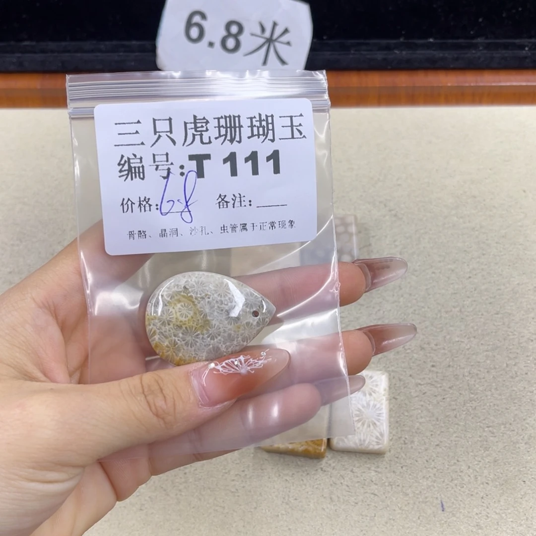 小***画硅化珊瑚（珊瑚玉）h未镶嵌