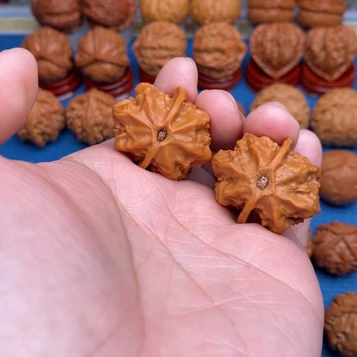 文玩核桃把件蝴蝶龙脊