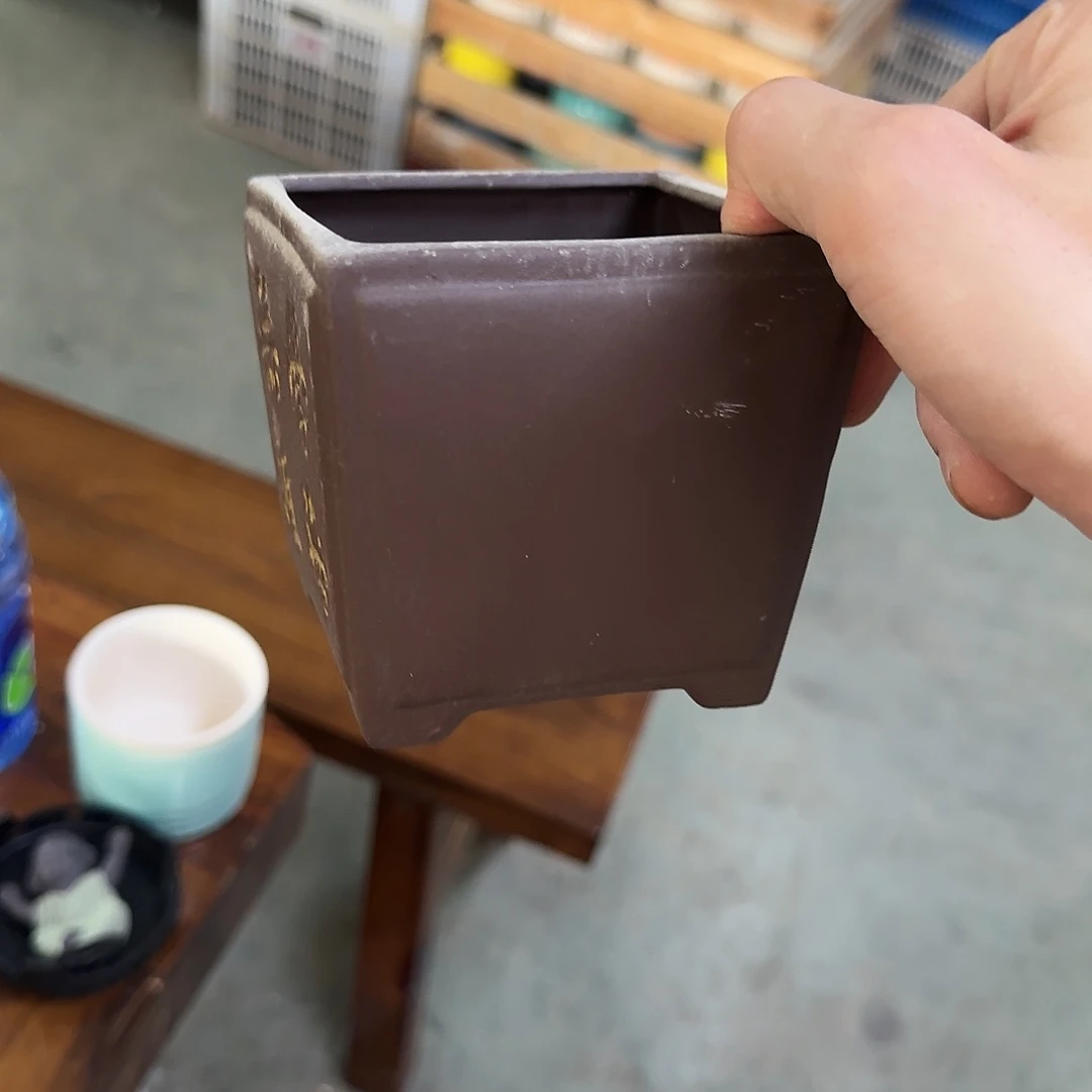 福利局库存尾单·有孔花盆当天满9元发