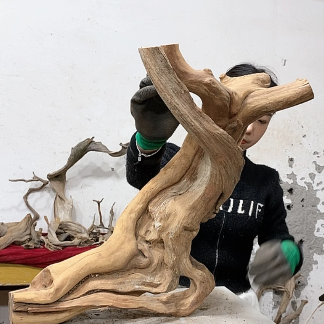 【闪购商品】柏木云***雕我们都是好孩子