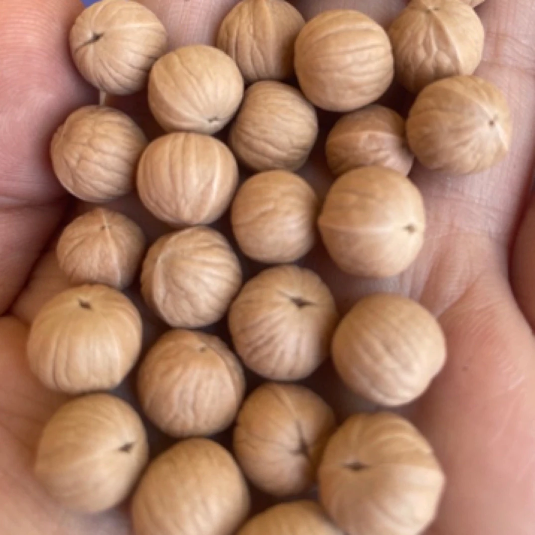 文玩核桃小尺寸南瓜散籽-核农直销-精挑精选-全品无暇-顺丰包邮