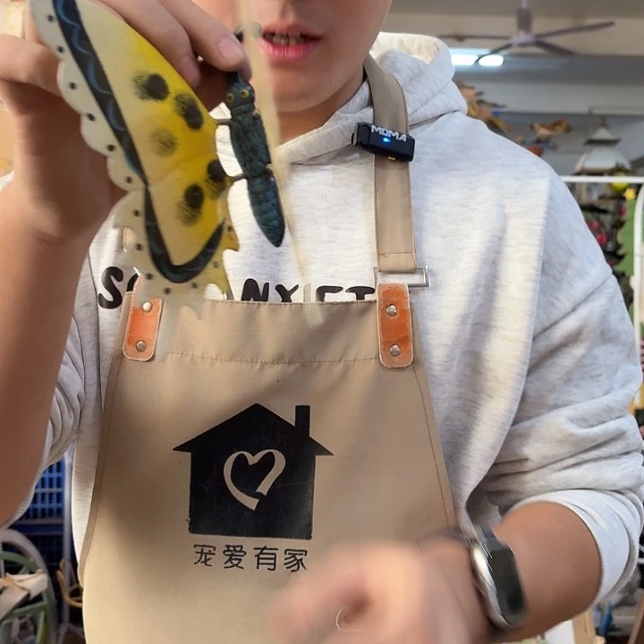 核桃木/黑胡桃（胡桃木）