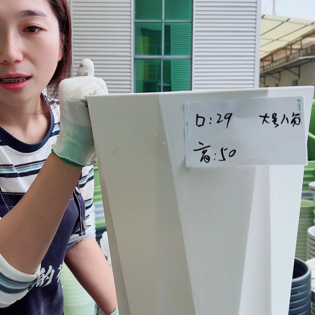 瑕疵大号八角白色2个无托