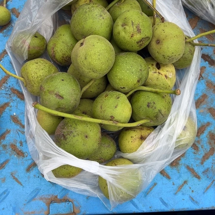 元宝血麒麟文玩核桃