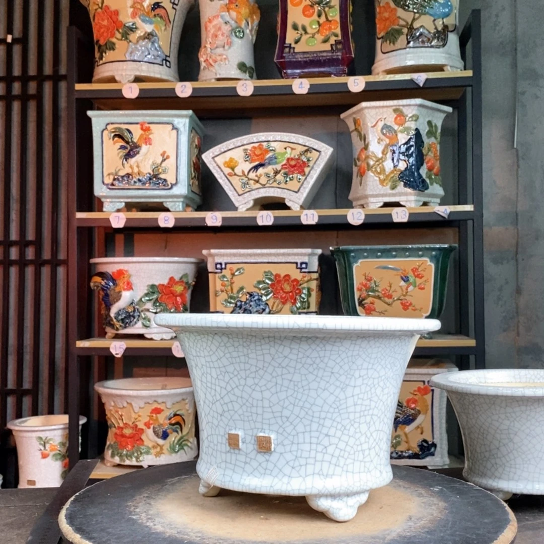 郑***富白色气孔17。