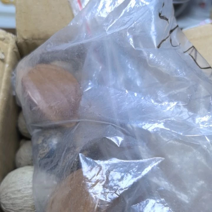 快***！吊坠滴血莲花菩提菩提散珠自选菩提