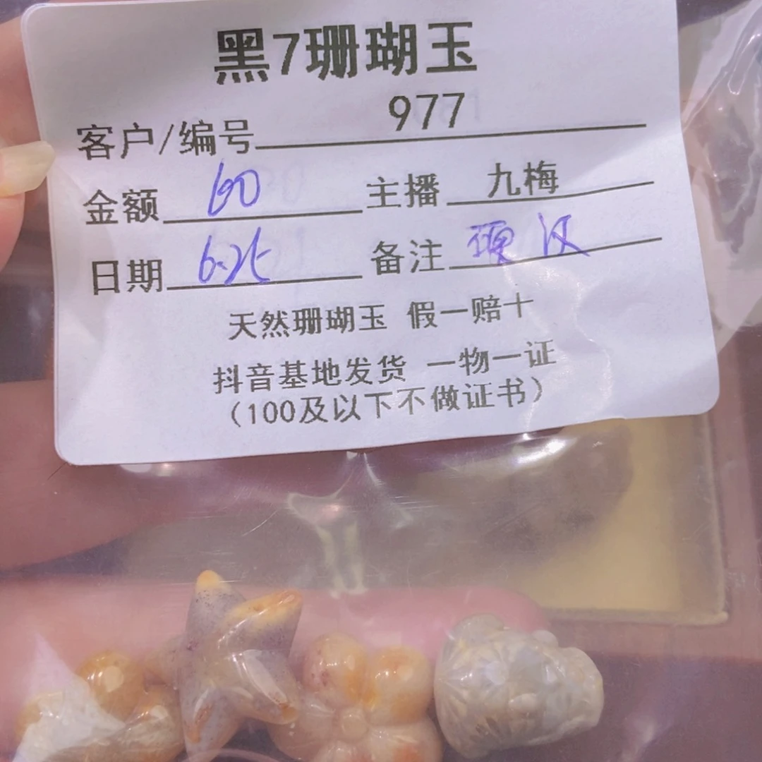 硅化珊瑚（珊瑚玉）未镶嵌颈饰全**汉