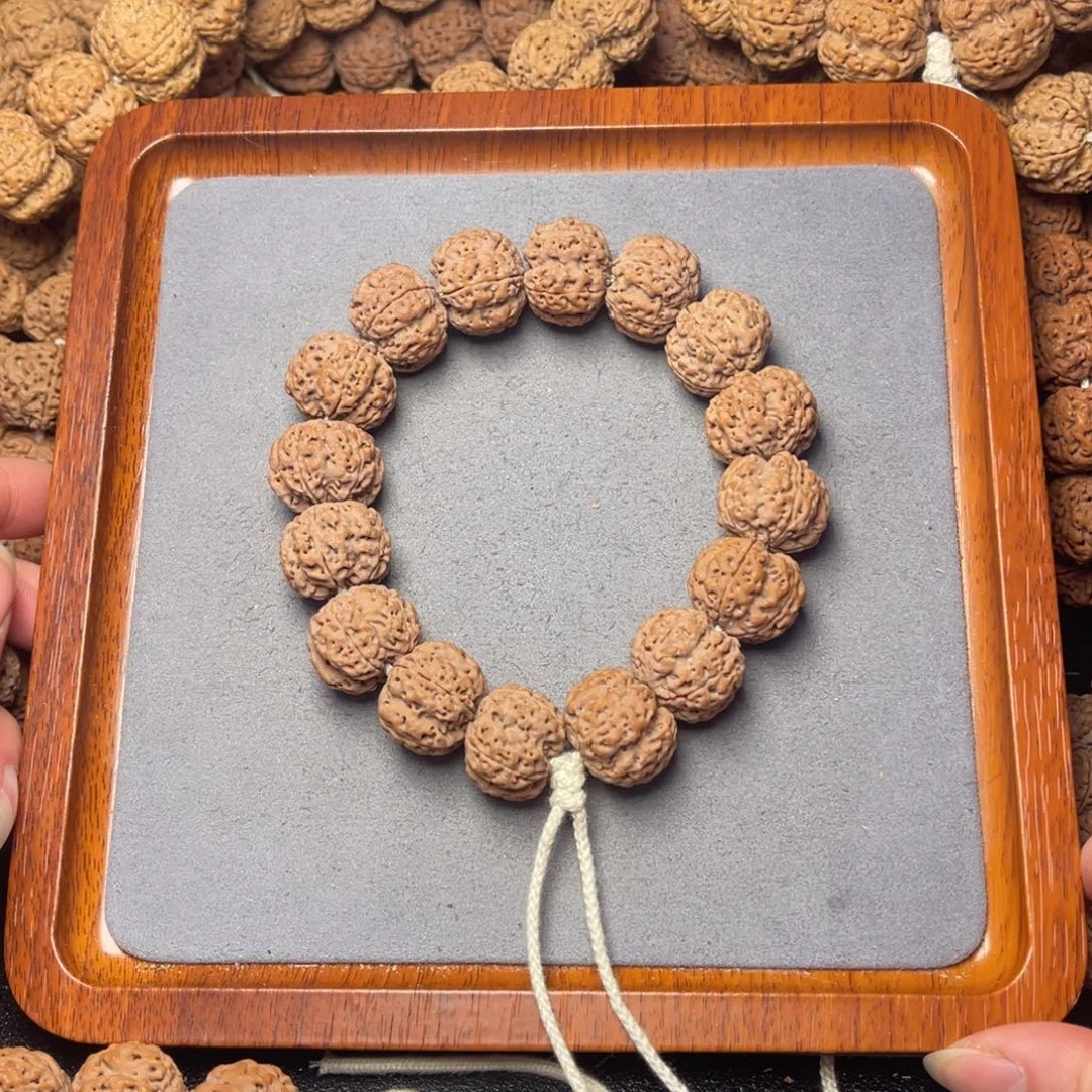 菩提籽类18号金刚菩提深沟梁梅花20