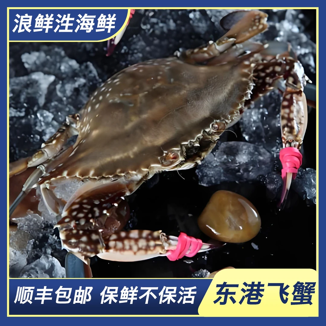 【保鲜不保活】东港公蟹一斤三到4只(4) 3两