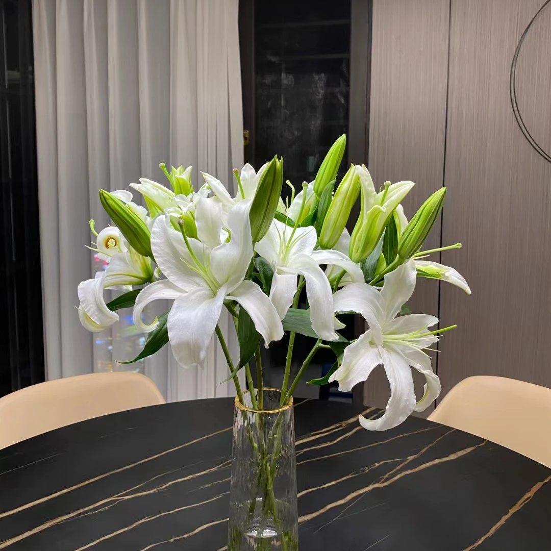 5支白色百合（大概10个朵）家居鲜花  配送范围江浙沪皖