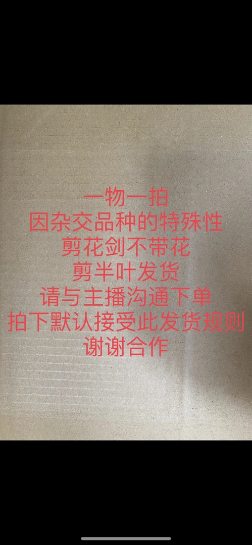 爱优辣椒姐300一399