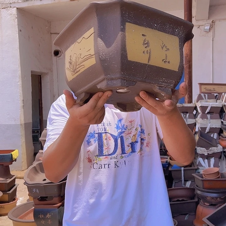 紫砂花盆紫砂花盆