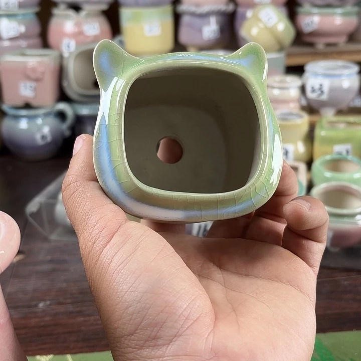 红陶?**鱼发3个量货/口高深浅搭配发