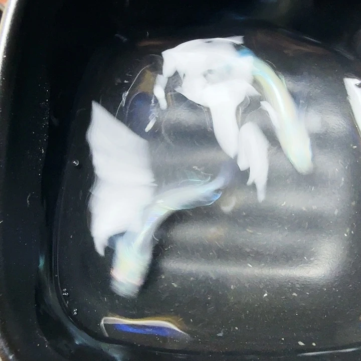 青鳉鱼9号拍品半月极龙