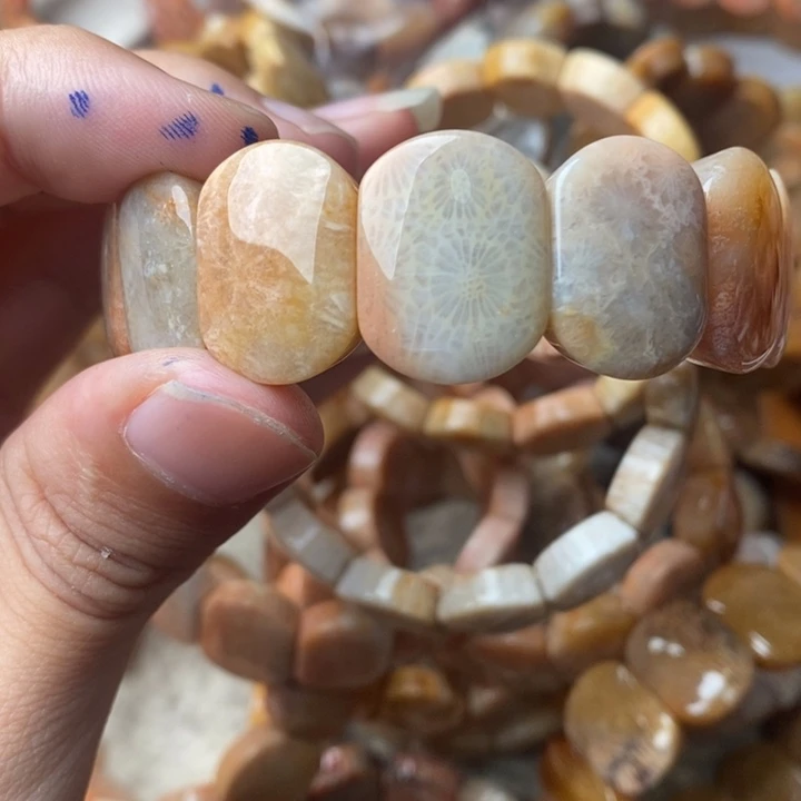 五***鱼颈饰未镶嵌硅化珊瑚（珊瑚玉）