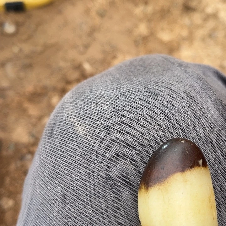 石英质玉未镶嵌吊坠(赠链)