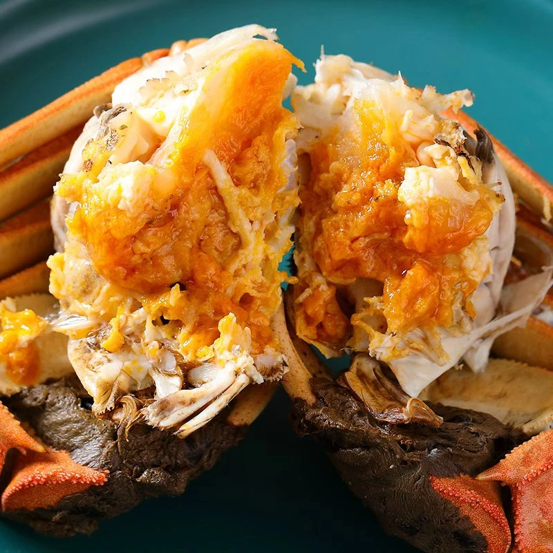 活蟹大闸蟹全母蟹3.5-3.2两10只大闸蟹礼盒装螃蟹团购送礼