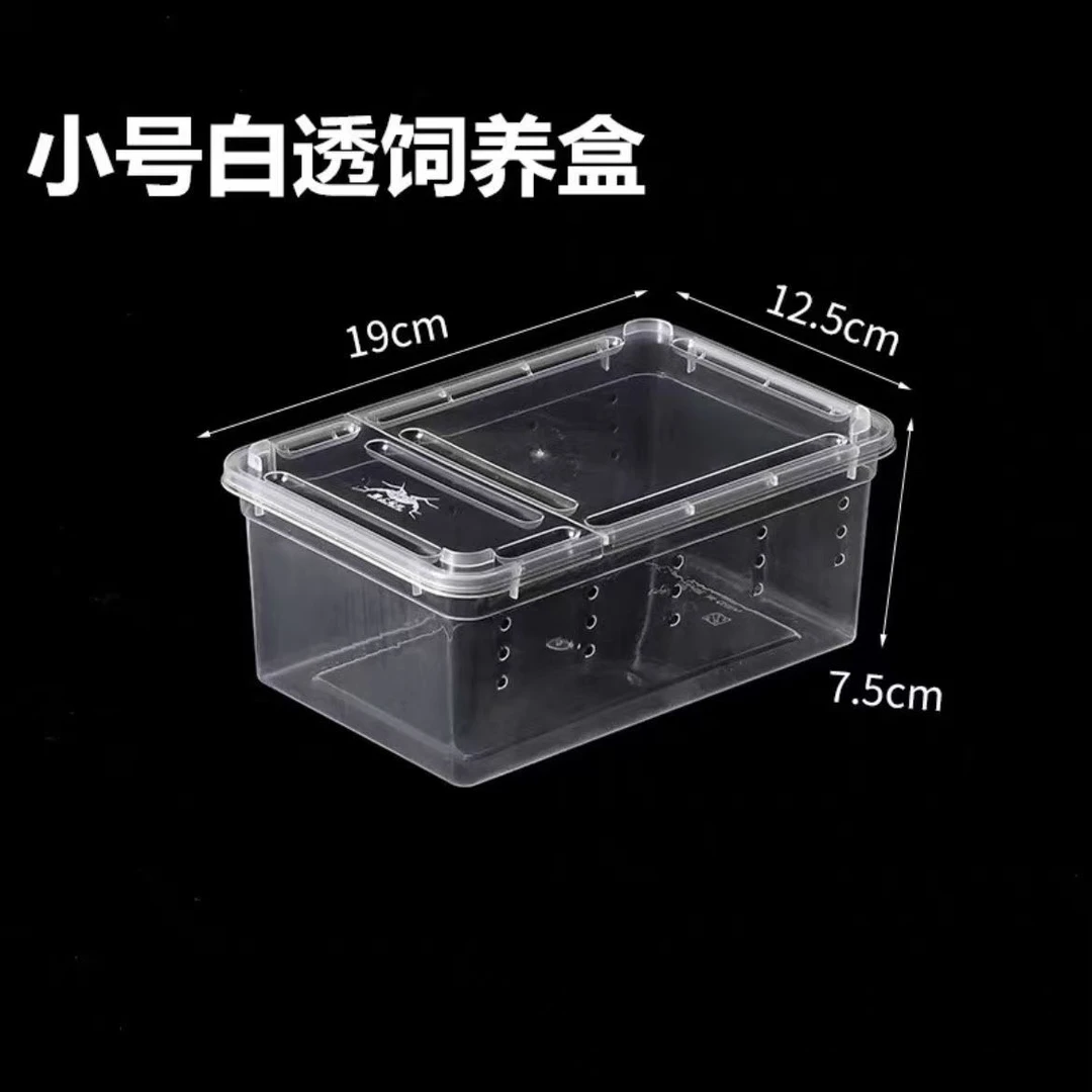 爬虫饲养盒小号爬虫饲养盒爬宠蜘蛛蝎子蛇蜥蜴乌龟角蛙ADC爬宠