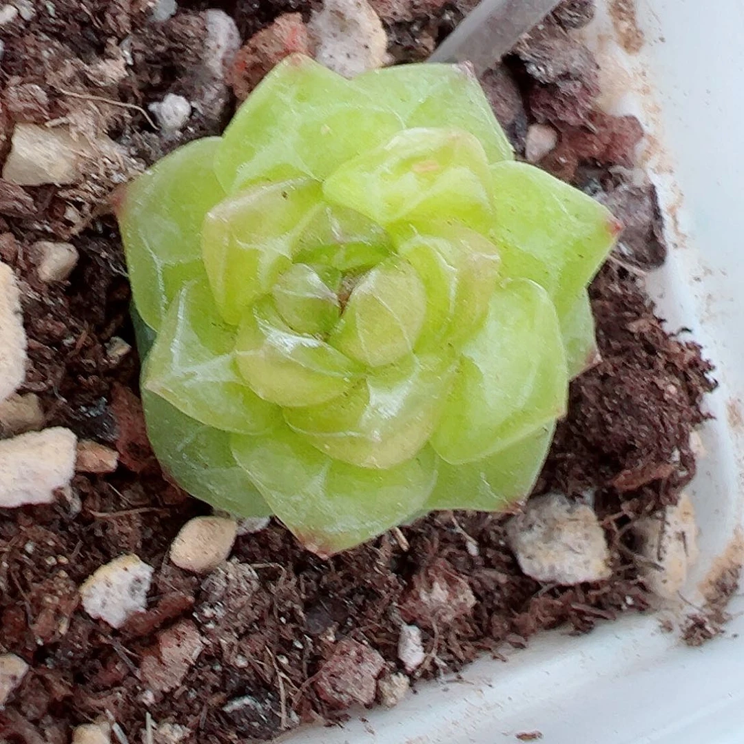 227哈哈哈哈哈哈哈哈我