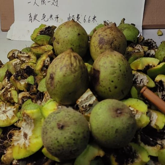 把件文玩核桃三角