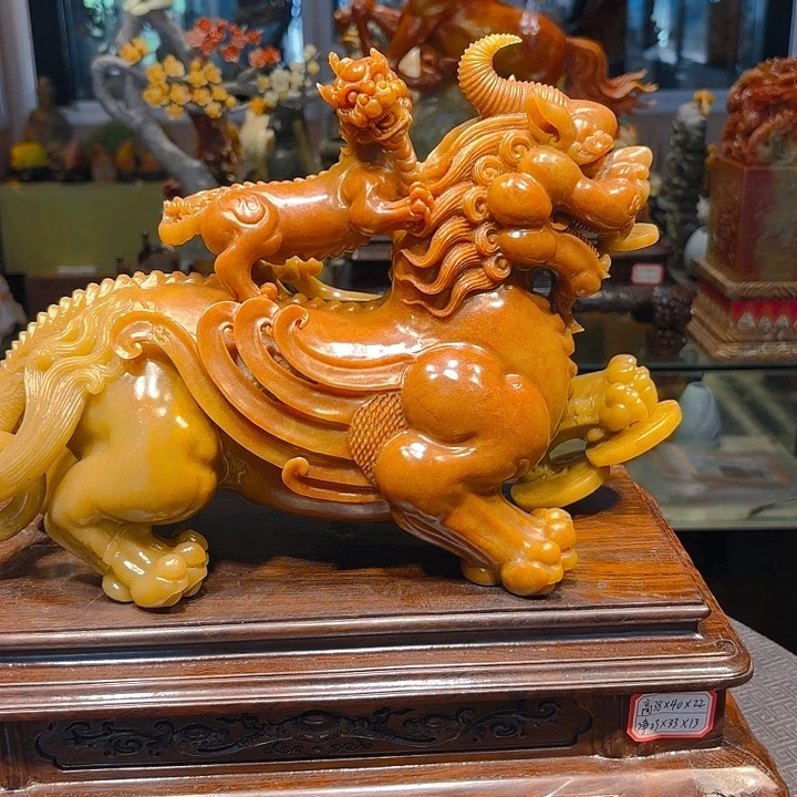 杨***龙寿山石寿山石雕刻工艺品