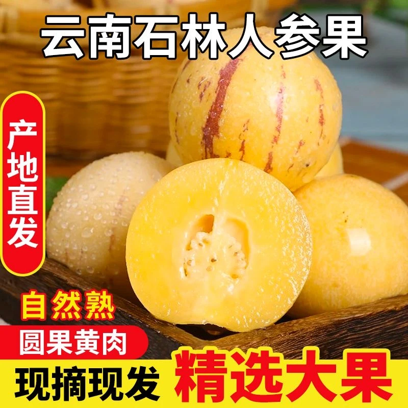 【现摘现发】云南石林人参果低糖水果圆果新鲜大果黄心黄果圆形