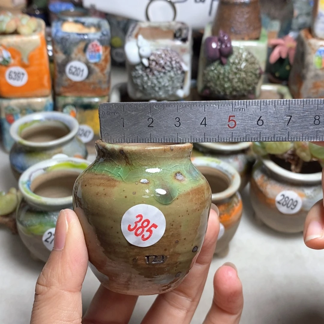 拍5送一个小礼物