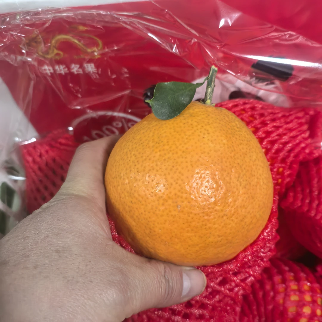 【包邮发货】大果果冻橙含箱4Kg±150g