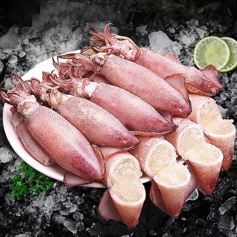 新鲜速冻笔管鱼 海兔子500g/袋